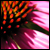 :iconephemeraldawn: