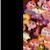 :iconepicaku1plz: