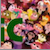 :iconepicaku6plz: