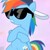 :iconepicrainbowdashfan: