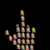:iconepidemic1111: