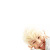 :iconepik-phail: