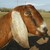 :iconepona142: