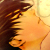 :iconepsilon-zero: