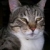 :iconepsylon-lyrae: