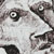 :iconeqoui: