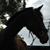 :iconeqphotography: