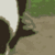 :iconequine-crazy: