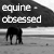 :iconequine-obsessed: