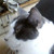 :iconequinearcher08: