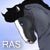 :iconequineme: