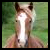 :iconequinephotographer: