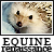 :iconequinerenaissance:
