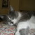 :iconer0723: