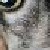 :iconera546: