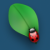 :iconerad: