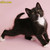 :iconerakitty: