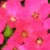 :iconerdbeerhimmel: