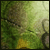 :iconEredhel: