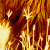:iconerhul: