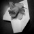 :iconerialett-dream-live: