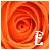 :iconerialk: