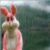 :iconeric467: