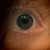 :iconericaleigh95: