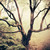 :iconerickdc:
