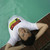 :iconerickk9: