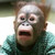 :iconericsonvini: