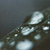 :iconericyounger: