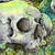 :iconerikaelend: