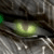 :iconerikatropos: