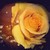 :iconerikroolsall:
