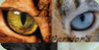 :iconerin-hunter-fanz: