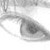 :iconerinflower: