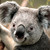 :iconerinlisk2000: