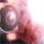 :iconeriqemo: