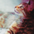 :iconerisnx: