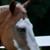 :iconerl-stock: