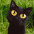 :iconermilka: