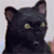 :iconermster: