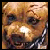 :iconerndawg: