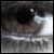 :iconerodevil: