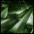 :iconerox: