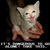 :iconerozion: