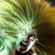 :iconerpinalbert: