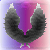 :iconerrex: