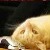 :iconerror743: